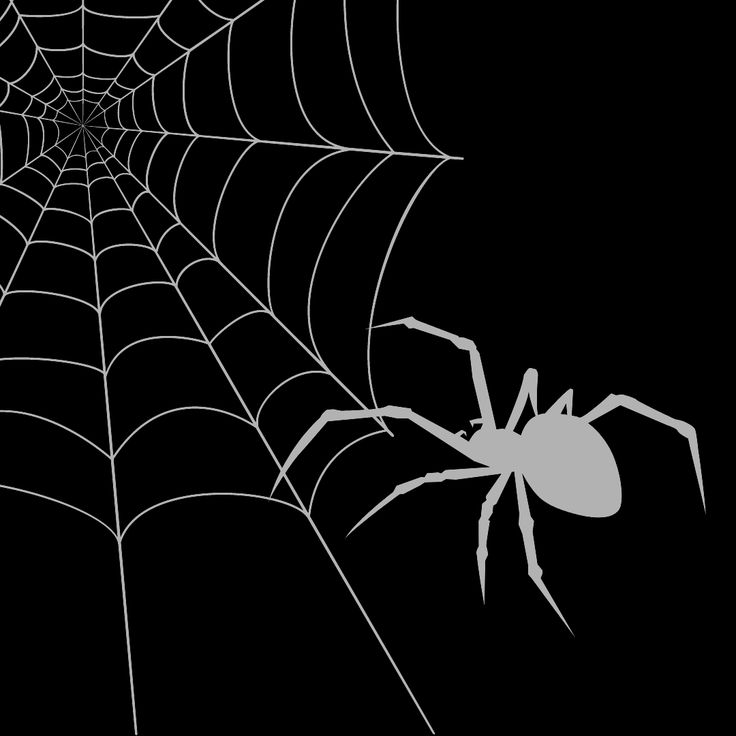 The Hidden Cost Behind “Free”